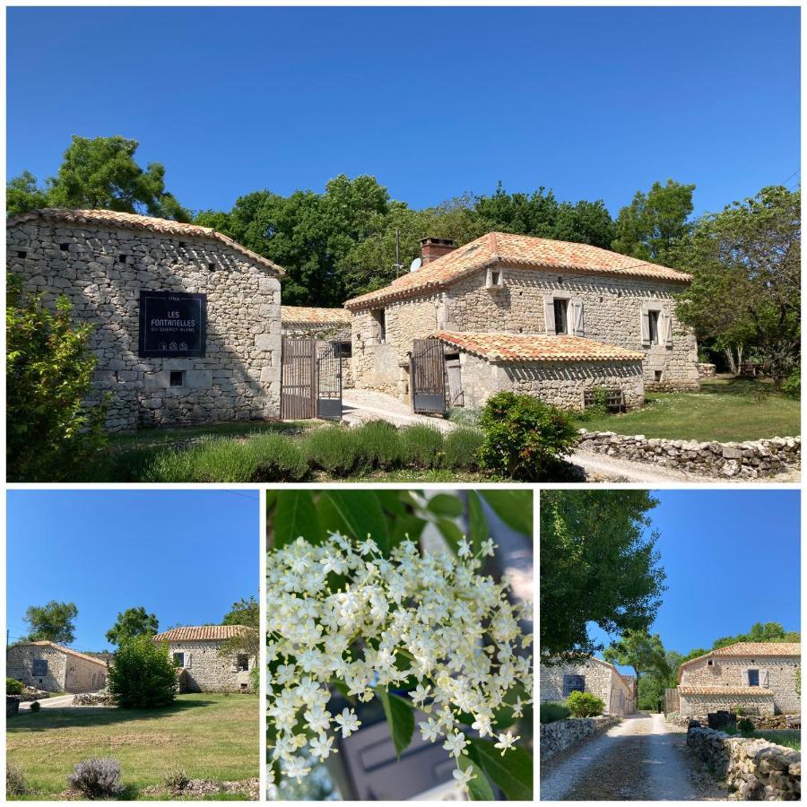 Les Fontanelles Du Quercy Blanc Villa Montcuq Ngoại thất bức ảnh