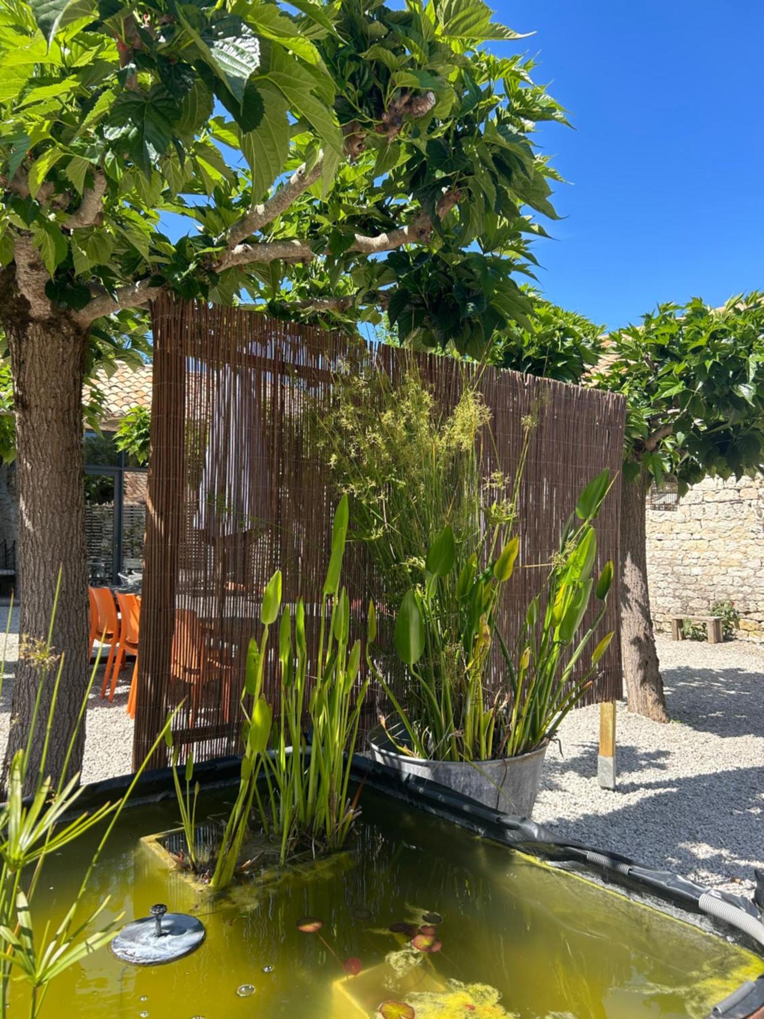 Les Fontanelles Du Quercy Blanc Villa Montcuq Ngoại thất bức ảnh